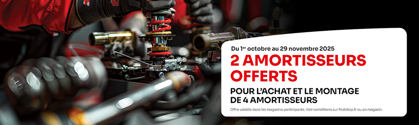 2 amortisseurs offerts* pour l'achat et le montage de 4 amortisseurs ! 