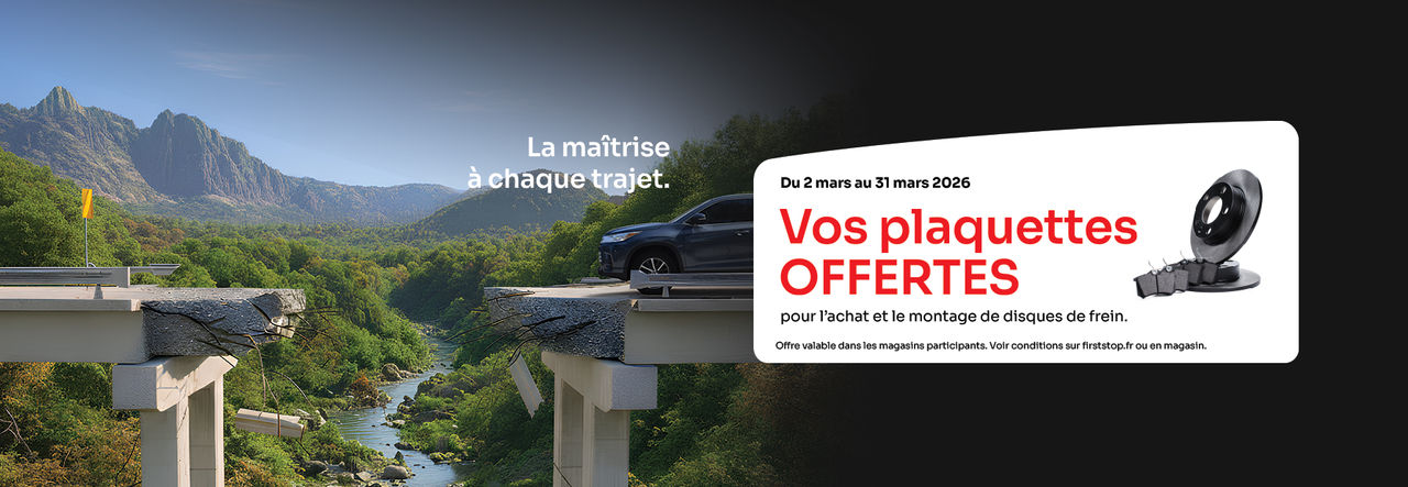 plaquettes de frein offertes